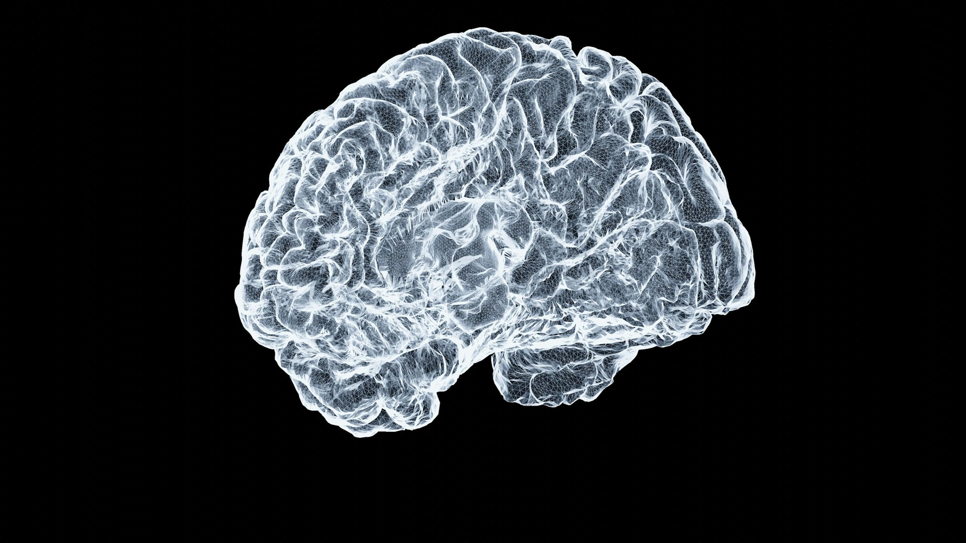 a close up of a human brain on a black background